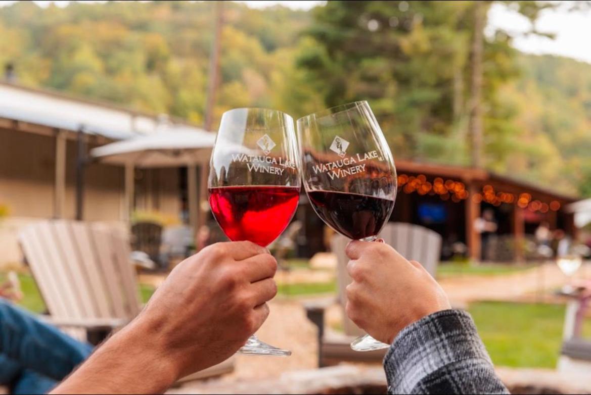 Monarch Mountain Cabins Cabin A Tennessee Thyme Elizabethton Εξωτερικό φωτογραφία
